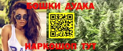 крисы Гудермес