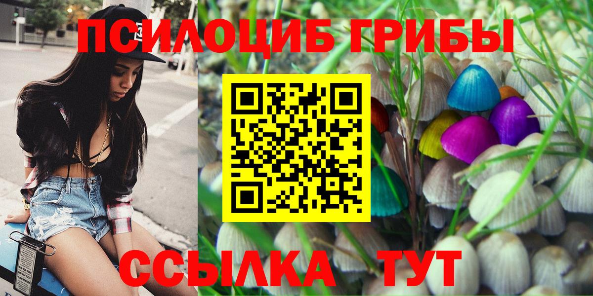 Галлюциногенные грибы Psilocybe  Вход с VPN  Псилоцибиновые грибы Psilocybine cubensis  Дзержинский 